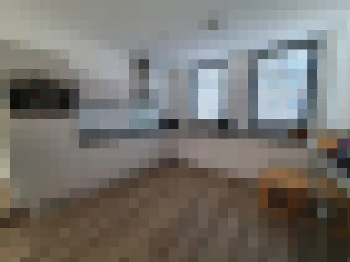 Frascatilaan 28 Oudenbosch thumbnail 5