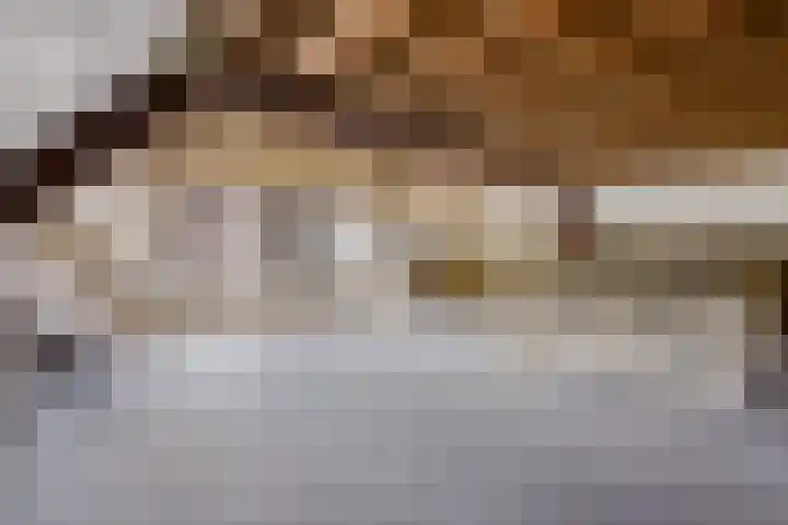 Frater Romboutsstraat 22 Bergeijk thumbnail 21