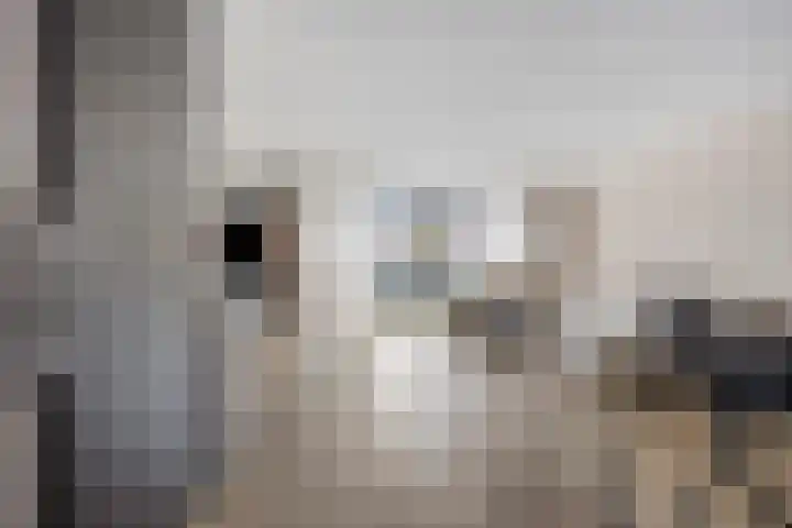 Frater Romboutsstraat 32 a Bergeijk thumbnail 4