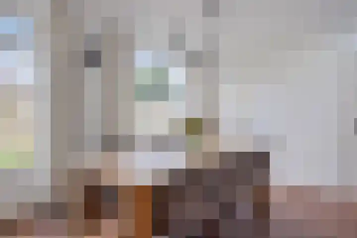 Frater Romboutsstraat 51 Bergeijk thumbnail 17