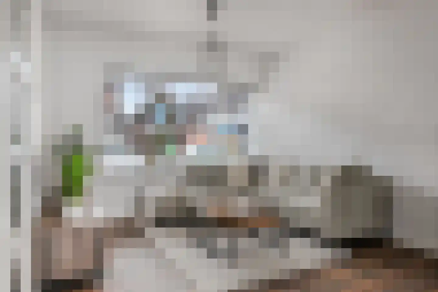 Frater S. Romboutsstraat 12 Best thumbnail 13