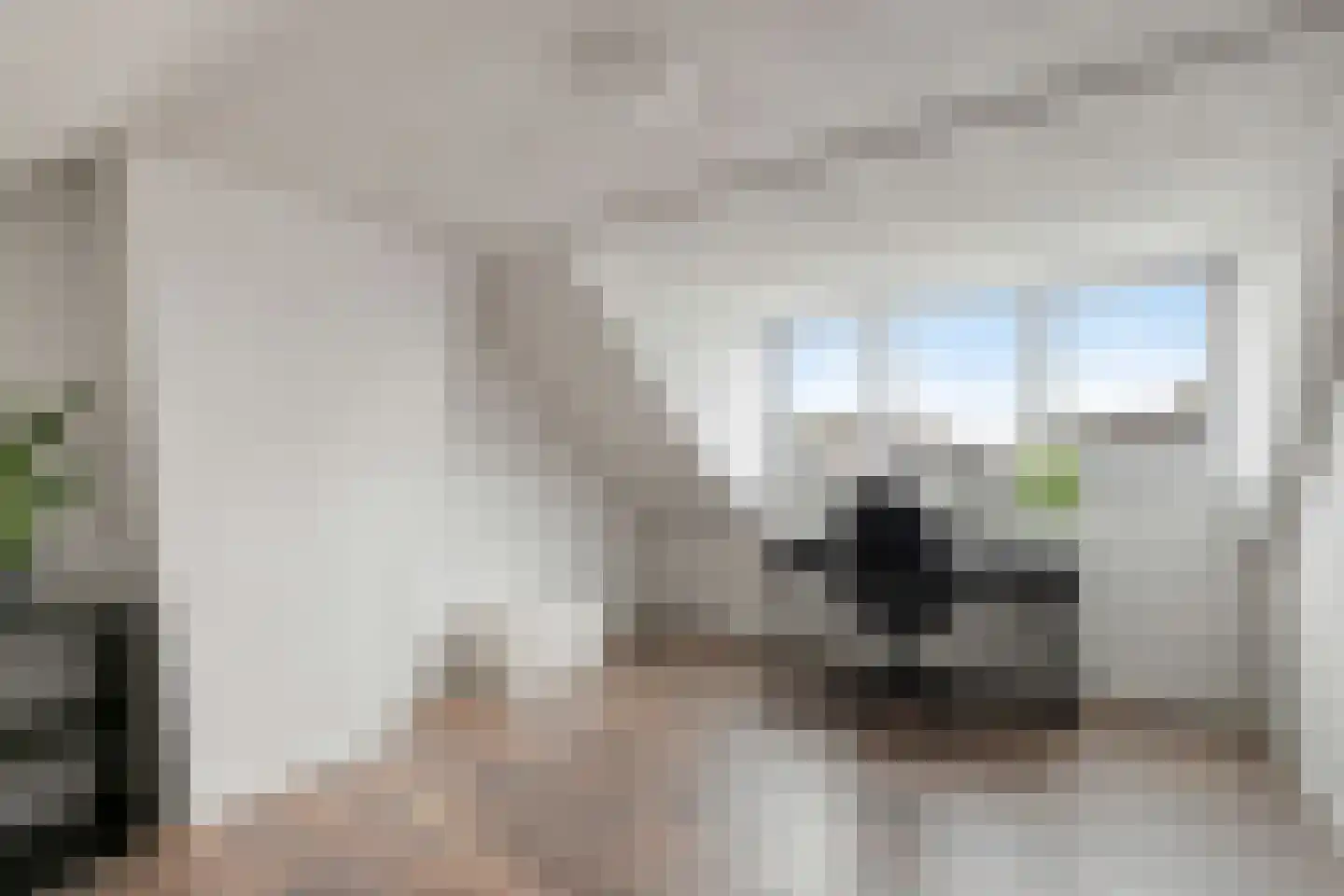 Frater S. Romboutsstraat 12 Best thumbnail 7