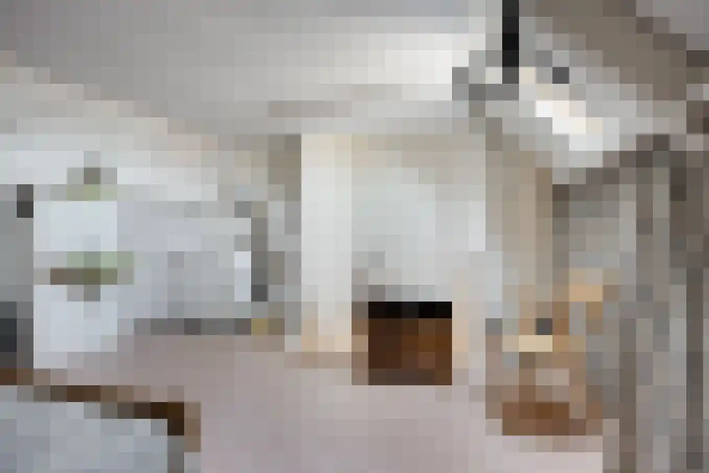 Fratershof 8 Oss thumbnail 20
