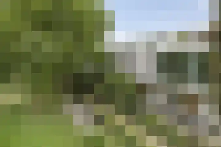 Fraterstuin 11 Goirle