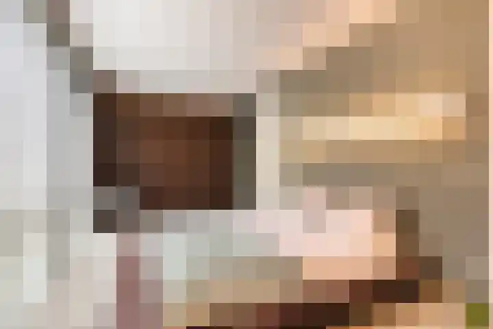 Fraterstuin 11 Goirle thumbnail 11
