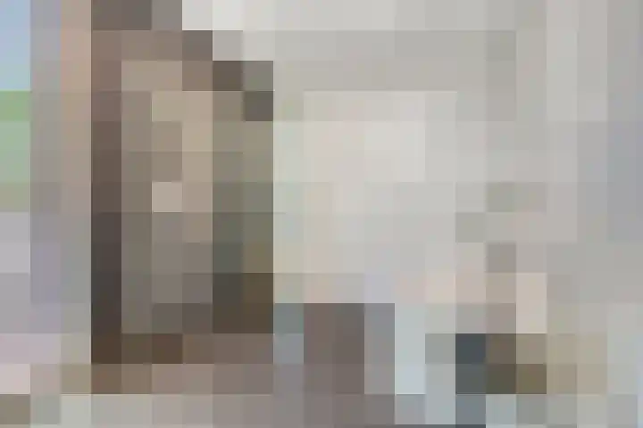 Fraterstuin 11 Goirle thumbnail 13