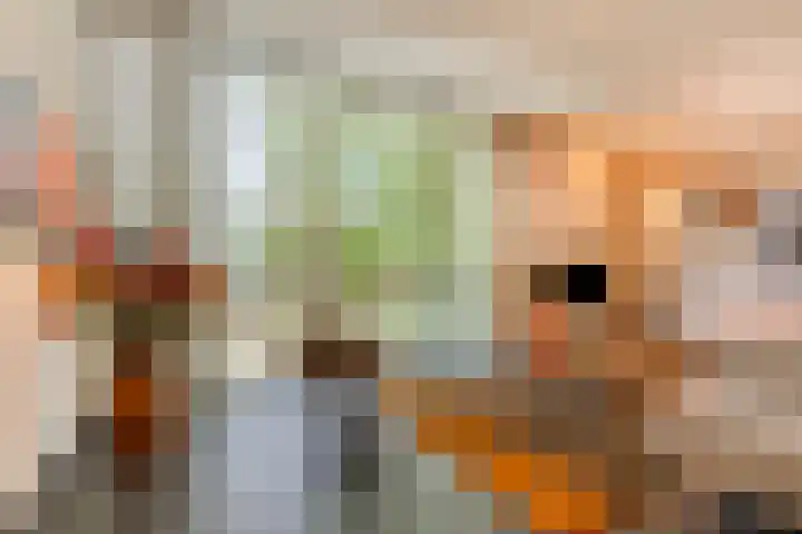 Fraterstuin 11 Goirle thumbnail 17