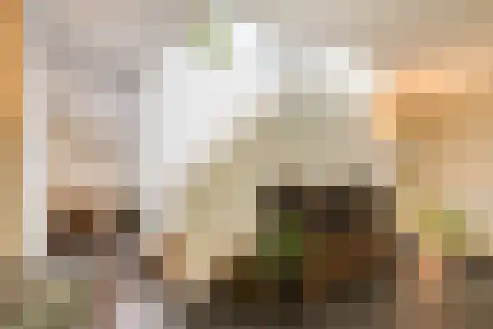 Fraterstuin 11 Goirle thumbnail 18