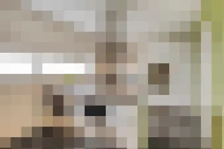 Fraterstuin 11 Goirle thumbnail 19
