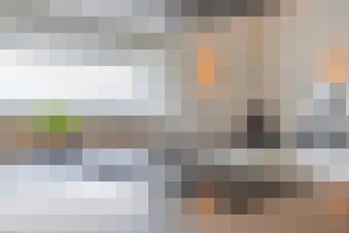 Fraterstuin 11 Goirle thumbnail 21