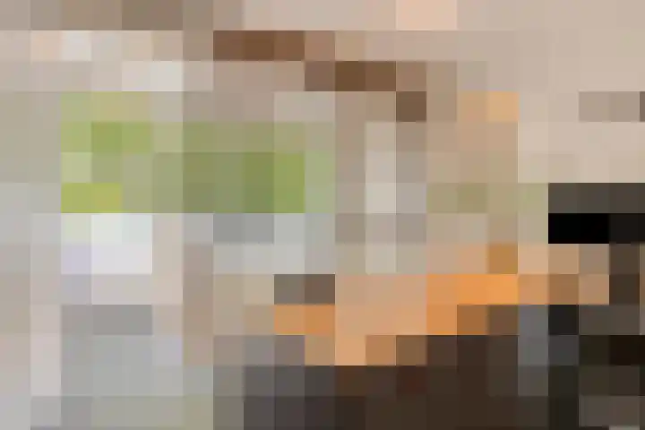 Fraterstuin 11 Goirle thumbnail 24