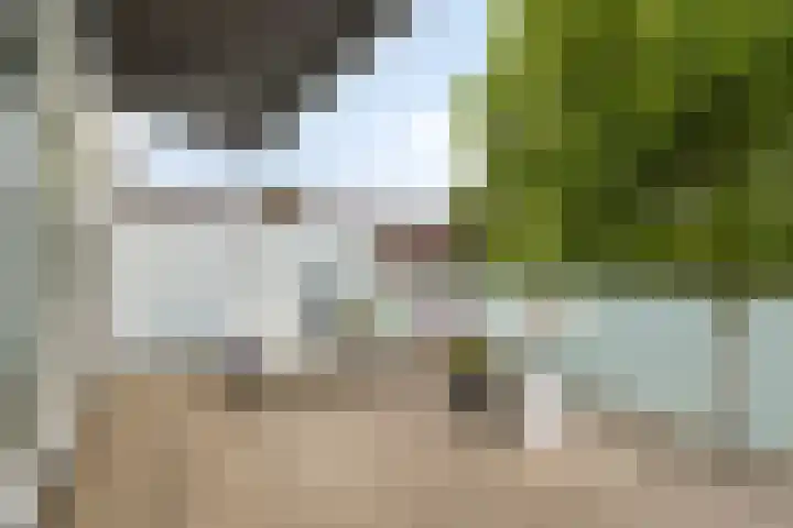 Fraterstuin 11 Goirle thumbnail 28