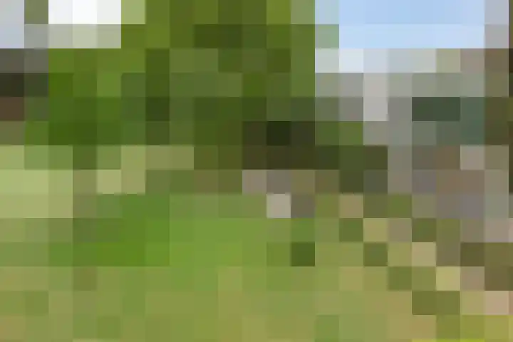 Fraterstuin 11 Goirle thumbnail 29