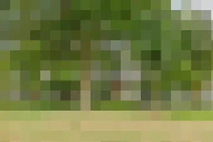 Fraterstuin 11 Goirle thumbnail 31