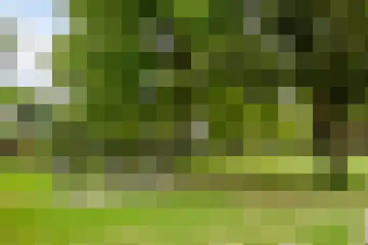 Fraterstuin 11 Goirle thumbnail 32