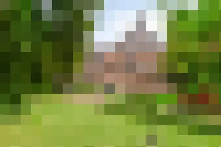 Fraterstuin 11 Goirle thumbnail 33