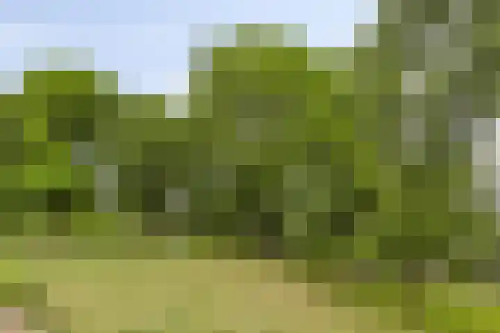 Fraterstuin 11 Goirle thumbnail 34