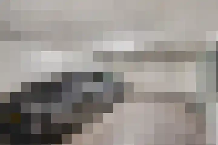 Fraterstuin 11 Goirle thumbnail 4