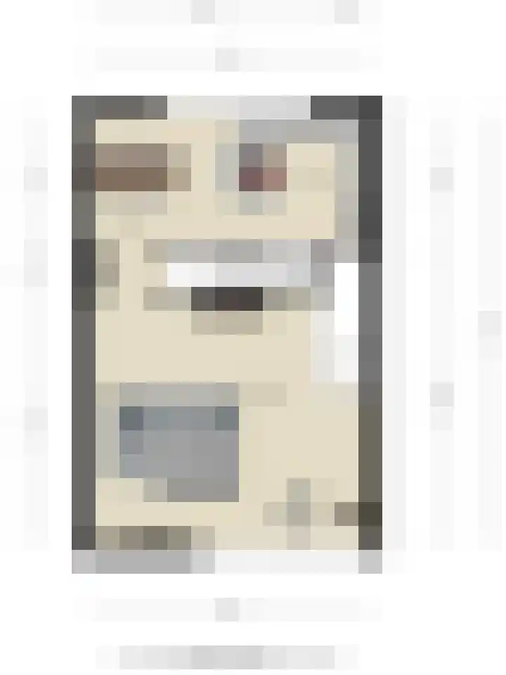 Fraterstuin 11 Goirle thumbnail 40