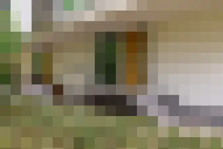 Fraterstuin 11 Goirle thumbnail 5