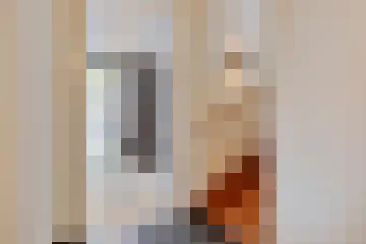Fraterstuin 11 Goirle thumbnail 8