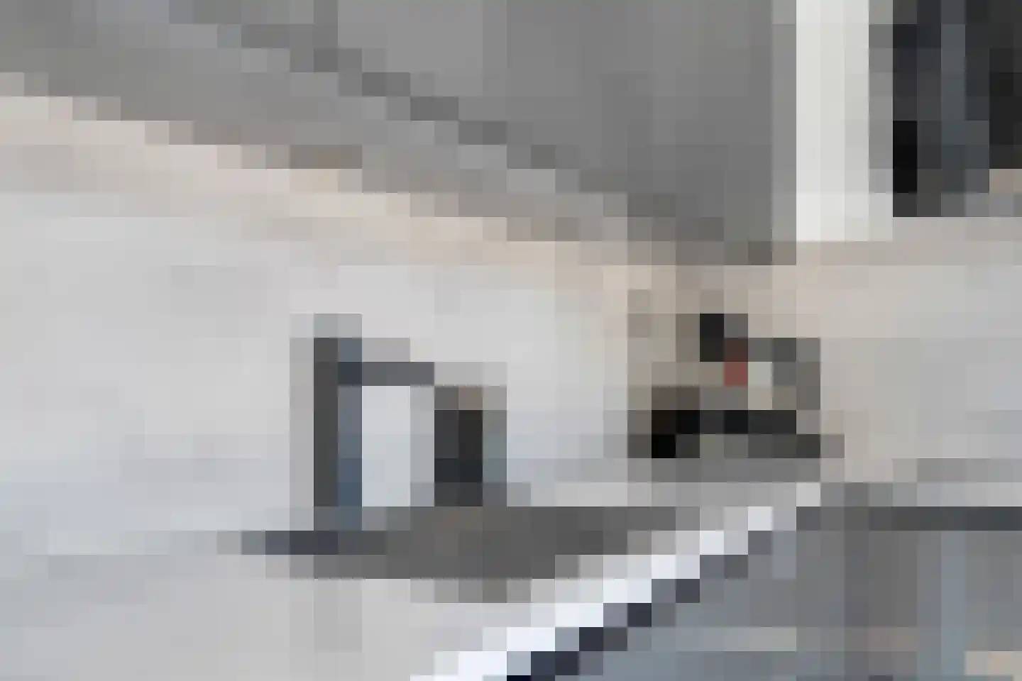 Fré Cohenlaan 10 Enschede thumbnail 18