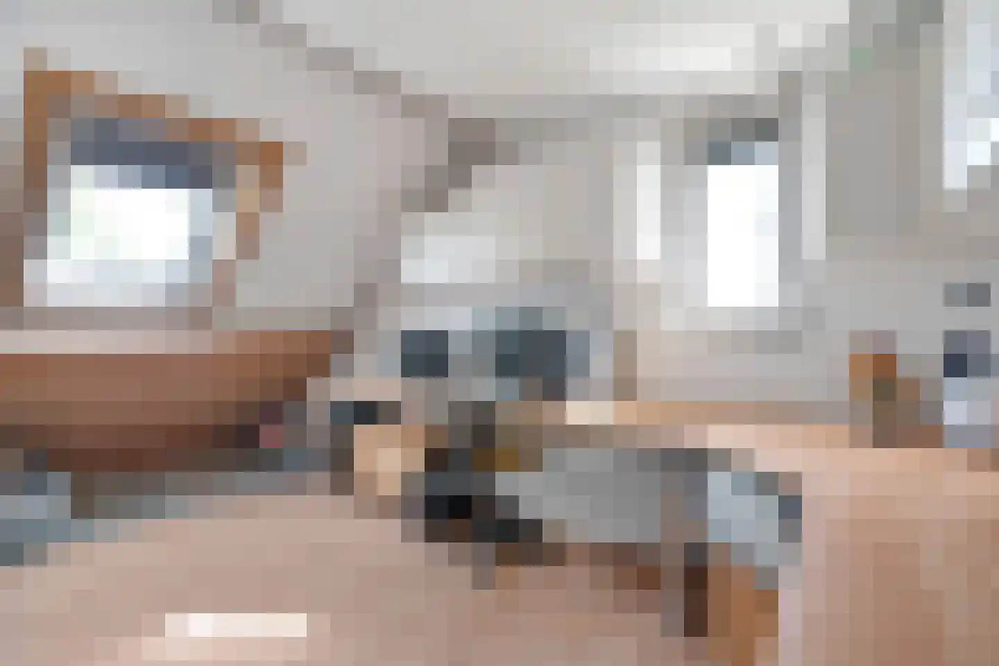 Fré Cohenlaan 10 Enschede thumbnail 35