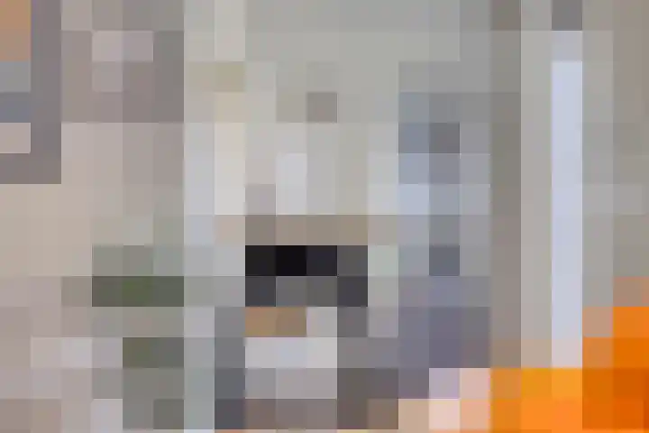 Fré Cohenlaan 21 Enschede thumbnail 16
