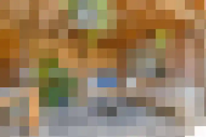 Fré Cohenlaan 21 Enschede thumbnail 35