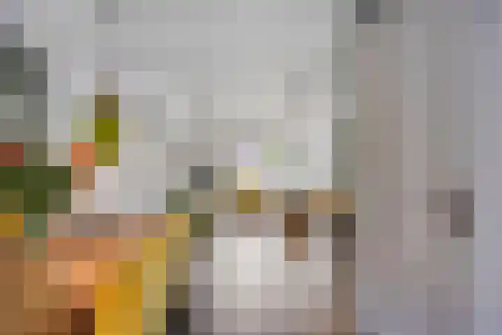 Fré Cohenlaan 21 Enschede thumbnail 8