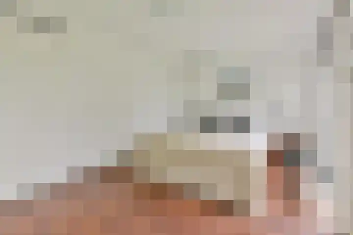 Fred Petterbaan 29 Amsterdam thumbnail 17