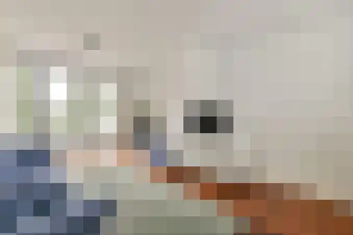 Fred Petterbaan 29 Amsterdam thumbnail 27