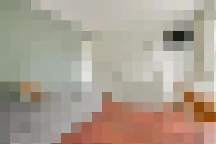 Fred Petterbaan 29 Amsterdam thumbnail 6