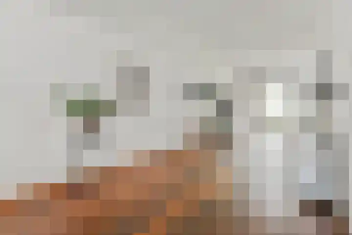 Fred Petterbaan 29 Amsterdam thumbnail 9