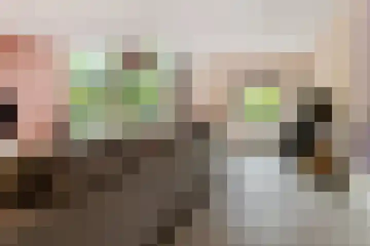 Fred Raymondhof 1 Utrecht thumbnail 15