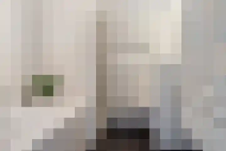 Fred Raymondhof 1 Utrecht thumbnail 30
