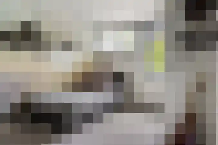 Fred Raymondhof 1 Utrecht thumbnail 32