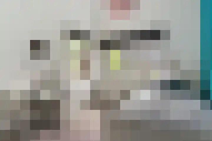 Fred Raymondhof 1 Utrecht thumbnail 35