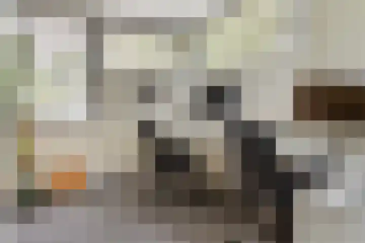 Fred Raymondhof 1 Utrecht thumbnail 36