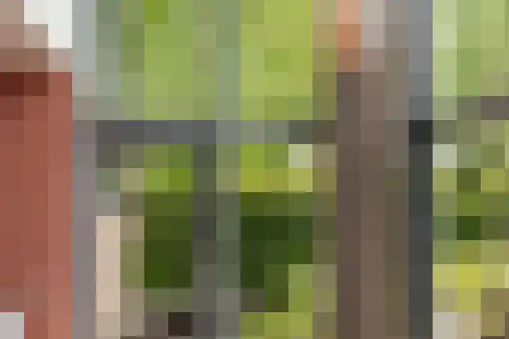 Fred Raymondhof 1 Utrecht thumbnail 37