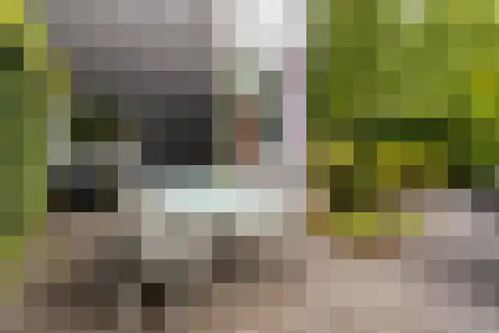 Fred Raymondhof 1 Utrecht thumbnail 38