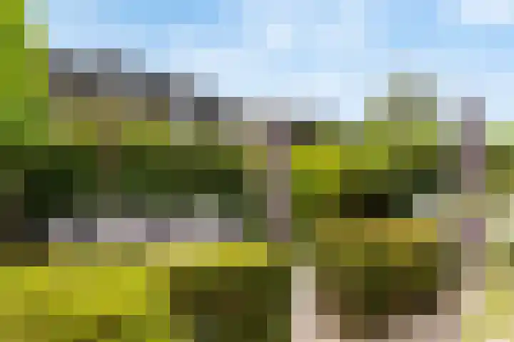 Fred Raymondhof 1 Utrecht thumbnail 39