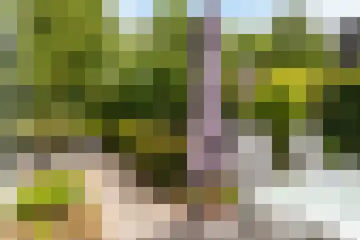 Fred Raymondhof 1 Utrecht thumbnail 40