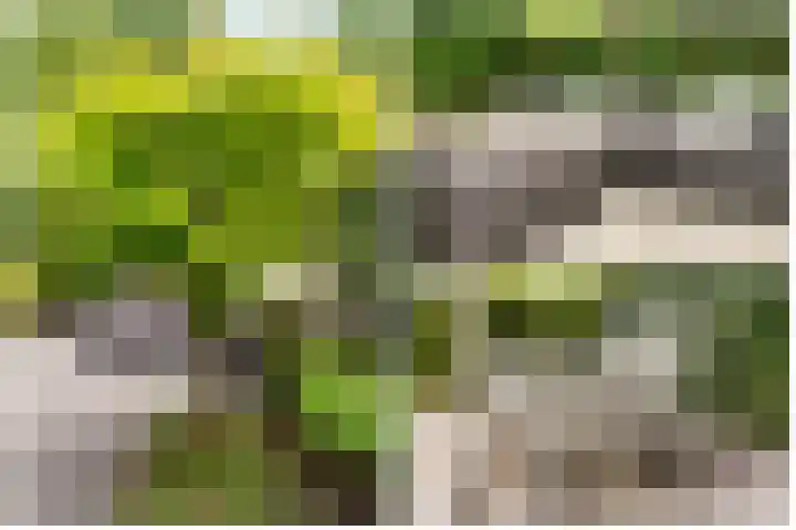 Fred Raymondhof 1 Utrecht thumbnail 41