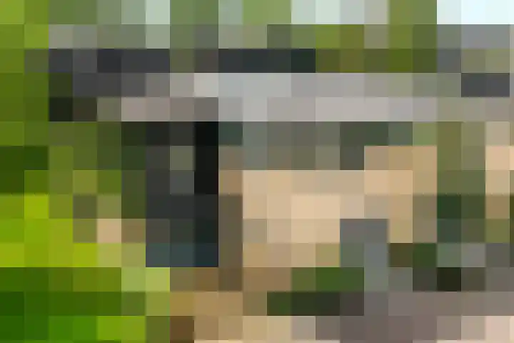 Fred Raymondhof 1 Utrecht thumbnail 49
