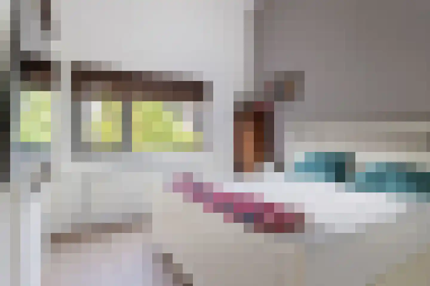 Fred Raymondhof 5 Utrecht thumbnail 20