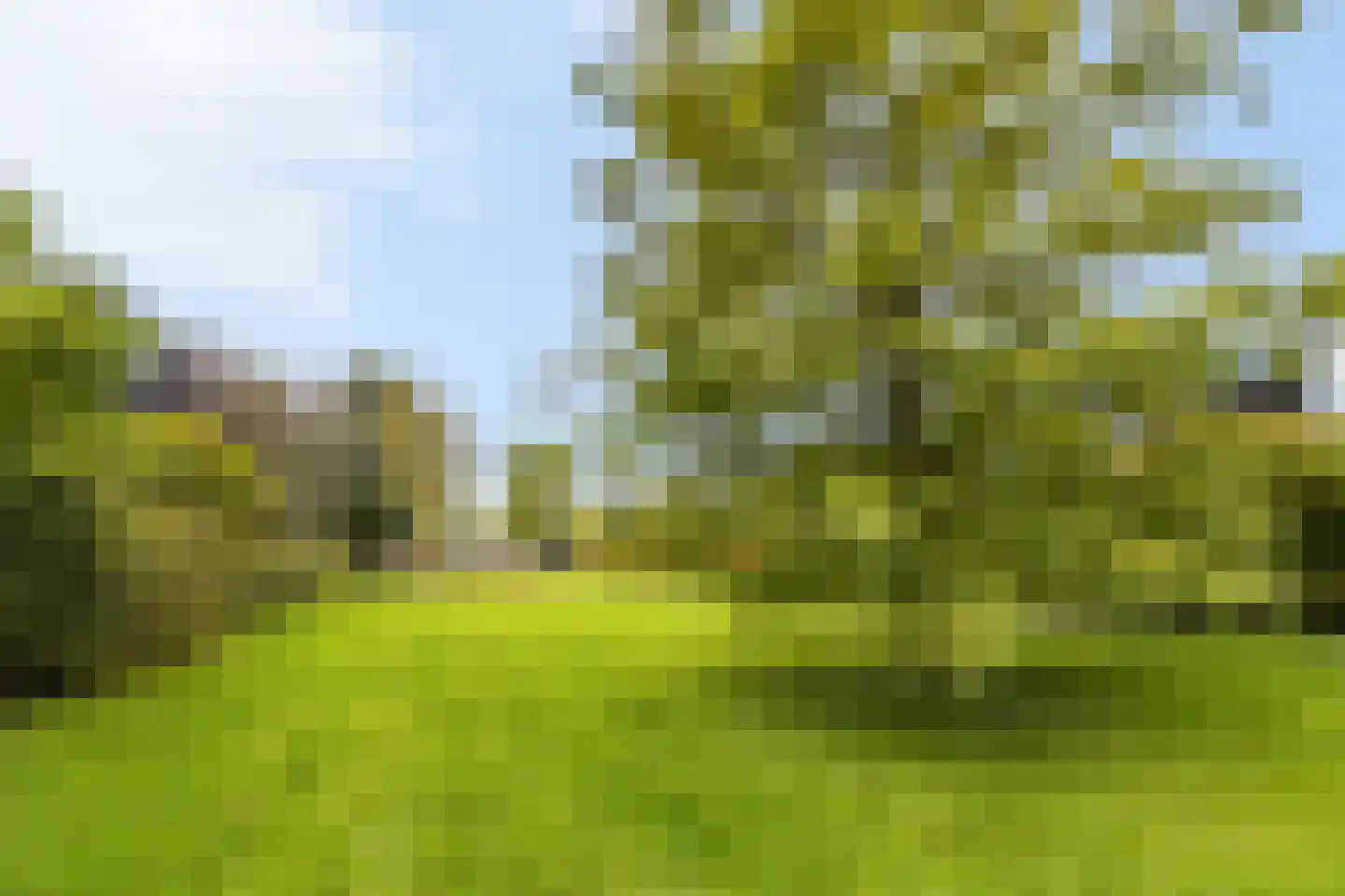 Fred Raymondhof 5 Utrecht thumbnail 27