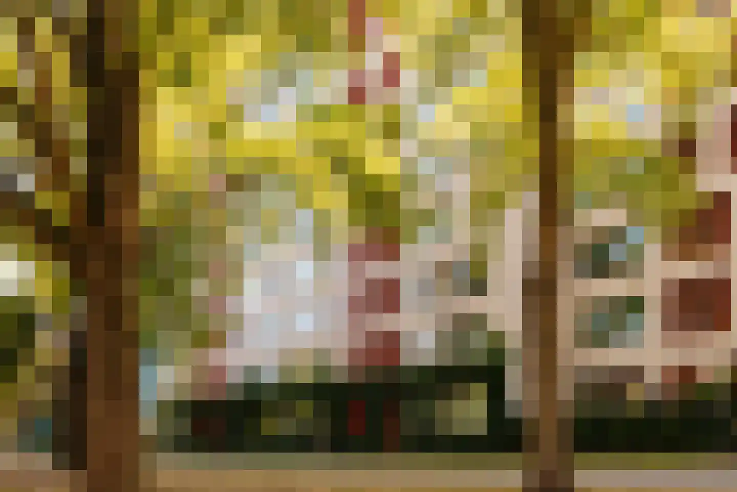Fred. Roeskestraat 92 A 3 Amsterdam thumbnail 19