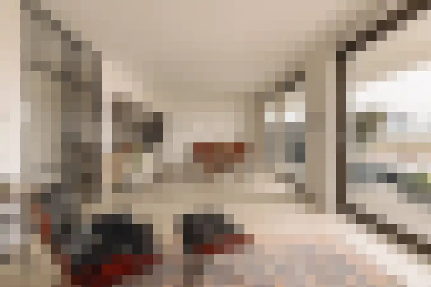 Fred. Roeskestraat 92 B 15 Amsterdam thumbnail 10