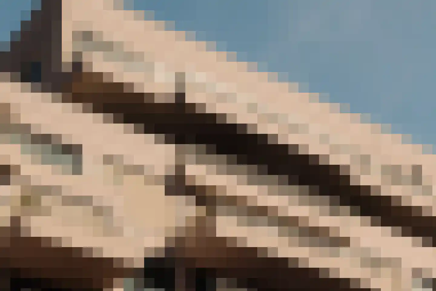 Fred. Roeskestraat 92 B 15 Amsterdam thumbnail 5
